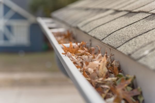 Leaf Barrier Installation in Virginia Beach
