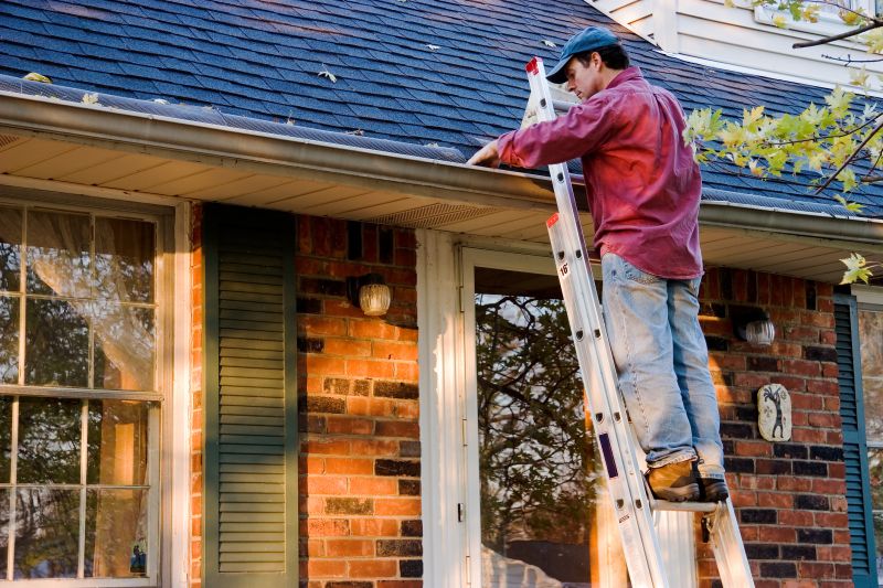 Gutter Covers on a Virginia Beach Home